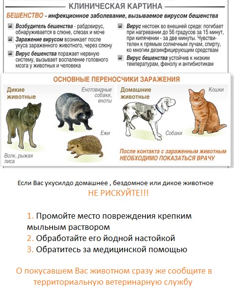beshvo