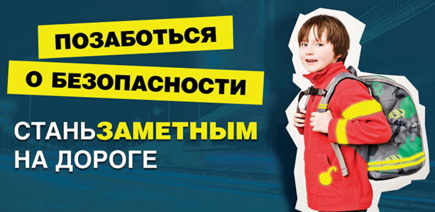 Единый день безопасности дорожного движения 